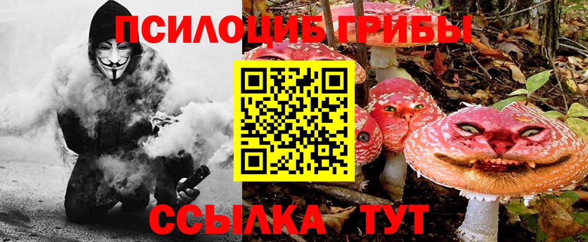 Галлюциногенные грибы Cubensis  Вход с VPN  Котельники 